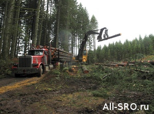  Институту СРО прочат роль фильтра для предприятий лесной отрасли