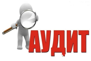  СРО аудиторов усилят работу по рассмотрению недобросовестных действий аудируемого лица для выявления случаев коррупционных правонарушений