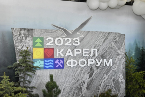  НОСТРОЙ призвал карельских производителей камня подключиться к пополнению Каталога импортозамещения